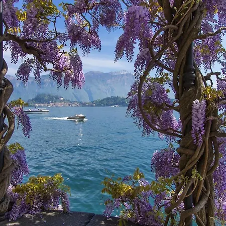 Fronte Apartamento